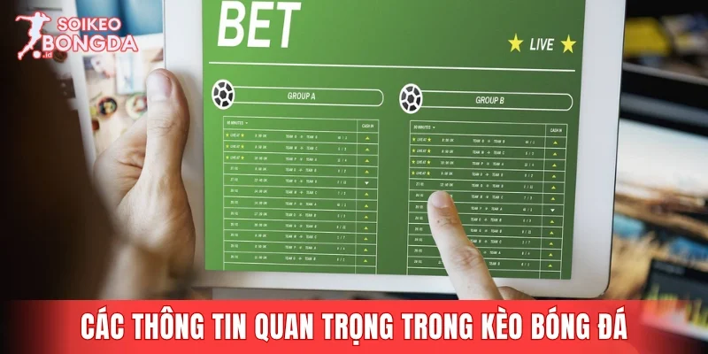 Các thông tin quan trọng được cập nhật trong chuyên mục kèo bóng đá