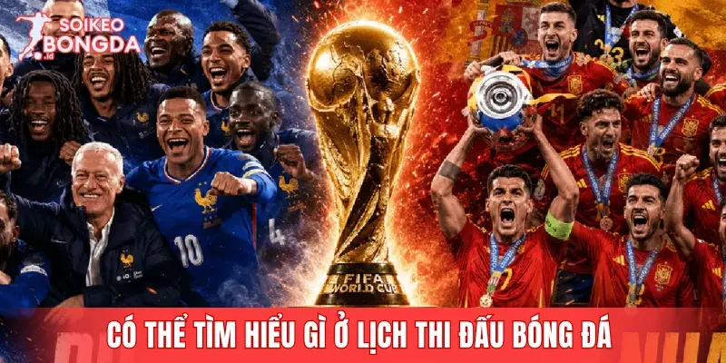 Có thể tìm hiểu gì ở lịch thi đấu bóng đá 