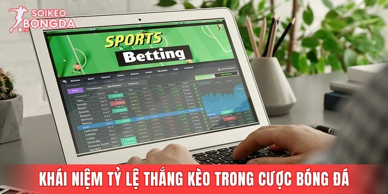Giải mã khái niệm tỷ lệ thắng kèo trong cược bóng đá
