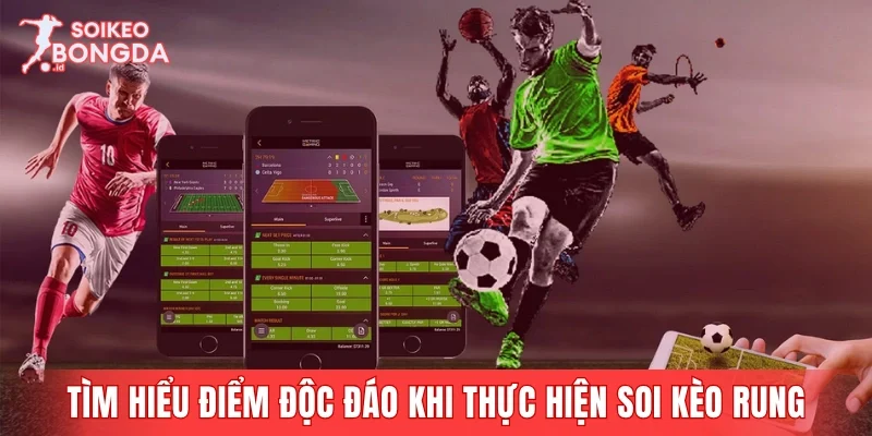 Tìm hiểu điểm độc đáo khi thực hiện soi kèo rung