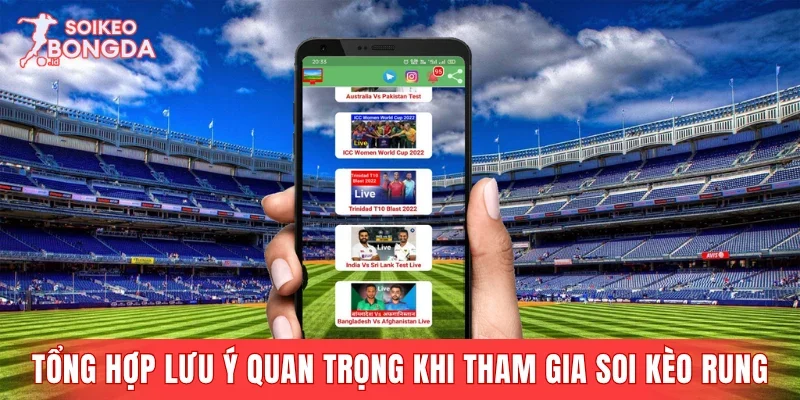 Tổng hợp lưu ý quan trọng khi tham gia soi kèo rung