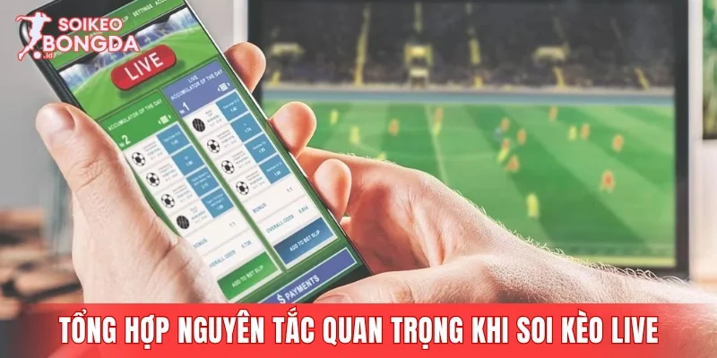 Tổng hợp nguyên tắc quan trọng khi soi kèo live